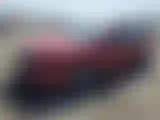 Vehicle Image- 2017 Ford Fusion