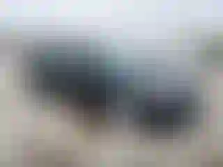 Vehicle Image- 2016 Ford Fusion