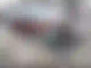 Vehicle Image- 2015 Ford Fusion