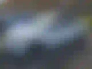 Vehicle Image- 2017 Ford Fusion