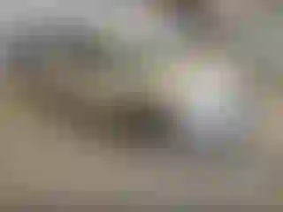 Vehicle Image- 2013 Ford Fusion