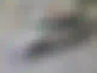 Vehicle Image- 2018 Ford Fusion