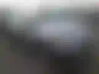 Vehicle Image- 2020 Ford Fusion