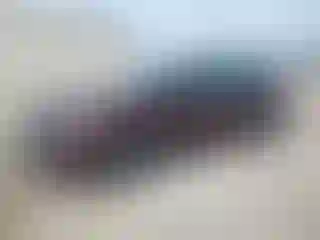 Vehicle Image- 2017 Ford Fusion