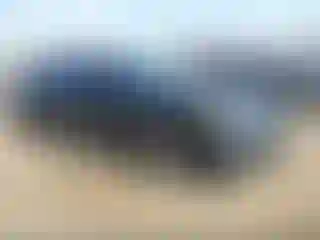 Vehicle Image- 2019 Ford Fusion