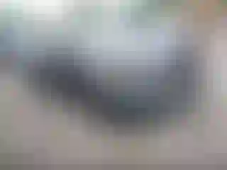Vehicle Image- 2019 Ford Fusion