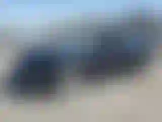 Vehicle Image- 2019 Ford Fusion
