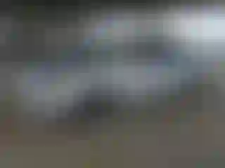 Vehicle Image- 2019 Ford Fusion