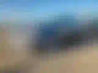 Vehicle Image- 2015 Ford Fusion