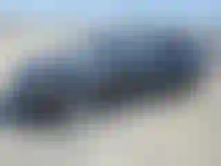 Vehicle Image- 2014 Ford Fusion