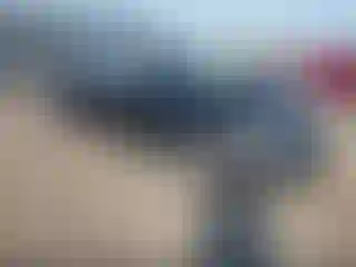 Vehicle Image- 2019 Ford Fusion