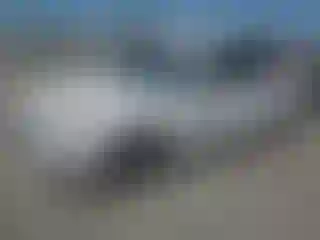 Vehicle Image- 2016 Ford Fusion