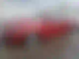 Vehicle Image- 2015 Ford Fusion