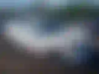 Vehicle Image- 2017 Ford Fusion