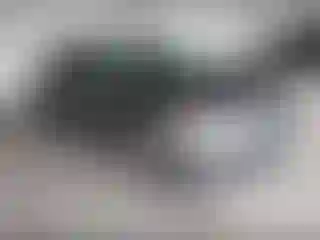 Vehicle Image- 2016 Ford Fusion