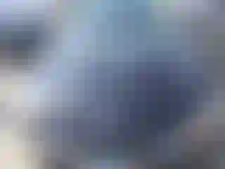 Vehicle Image- 2019 Ford Fusion