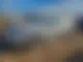 Vehicle Image- 2016 Ford Fusion