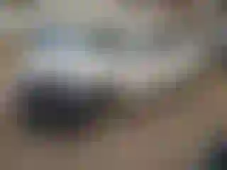 Vehicle Image- 2016 Ford Fusion