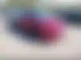 Vehicle Image- 2016 Ford Fusion