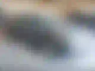 Vehicle Image- 2016 Ford Fusion