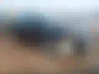 Vehicle Image- 2016 Ford Fusion