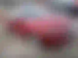 Vehicle Image- 2016 Ford Fusion