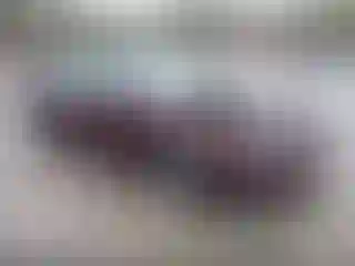 Vehicle Image- 2017 Ford Fusion