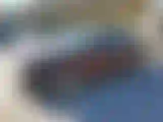 Vehicle Image- 2016 Ford Fusion