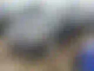 Vehicle Image- 2018 Ford Fusion