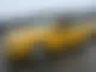 Vehicle Image- 2015 Ford Fusion