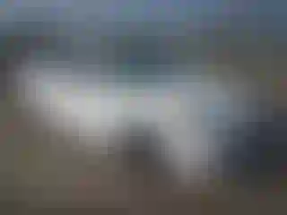 Vehicle Image- 2017 Ford Fusion