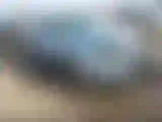 Vehicle Image- 2011 Ford Fusion