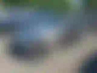 Vehicle Image- 2010 Ford Fusion