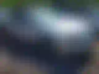 Vehicle Image- 2011 Ford Fusion