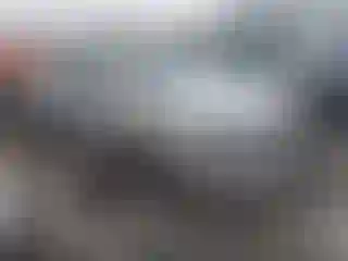 Vehicle Image- 2010 Ford Fusion