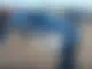 Vehicle Image- 2010 Ford Fusion