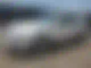 Vehicle Image- 2010 Ford Fusion