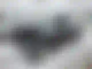 Vehicle Image- 2019 Ford Fiesta