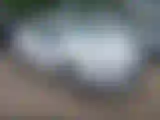 Vehicle Image- 2017 Ford Fiesta