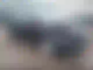 Vehicle Image- 2019 Ford Fiesta