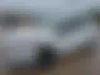Vehicle Image- 2015 Ford Fiesta