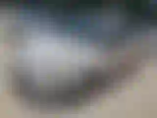 Vehicle Image- 2011 Ford Fiesta