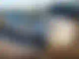 Vehicle Image- 2014 Ford Fiesta