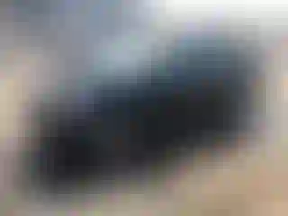 Vehicle Image- 2016 Ford Fiesta