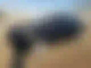 Vehicle Image- 2018 Ford Fiesta
