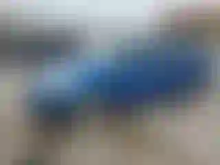 Vehicle Image- 2011 Ford Fiesta