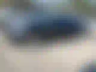 Vehicle Image- 2013 Ford Fiesta