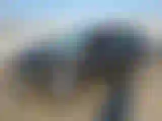 Vehicle Image- 2018 Ford Fiesta