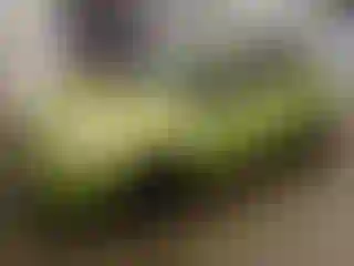 Vehicle Image- 2011 Ford Fiesta