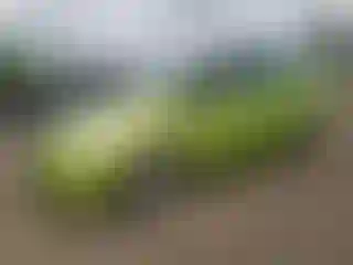 Vehicle Image- 2011 Ford Fiesta